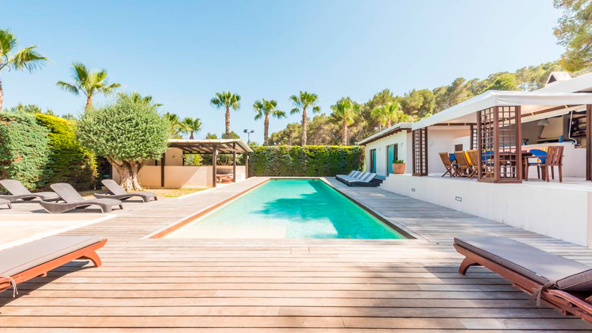 Ibiza - Oasis